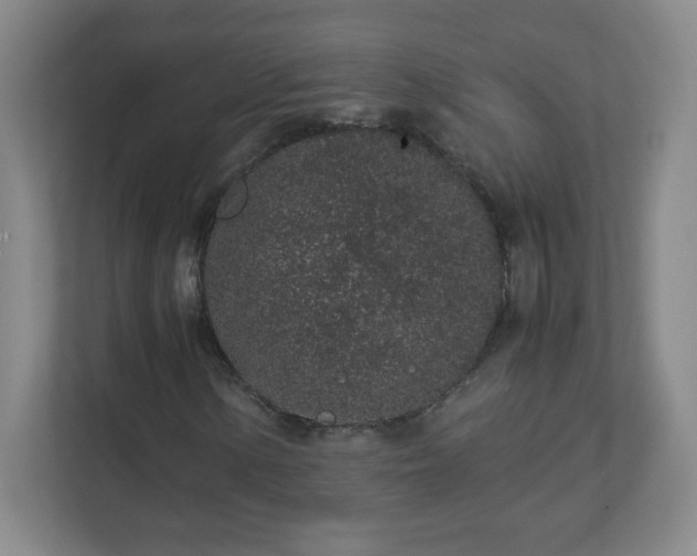 X0000113041154200909031306