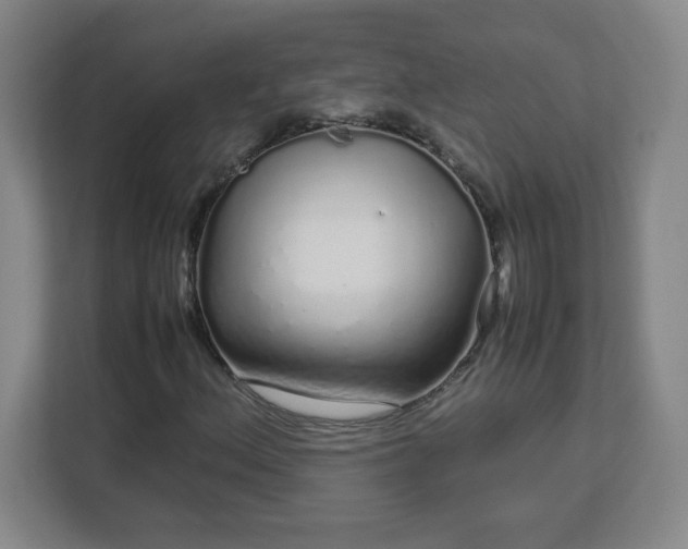 X0000113041156200909031306