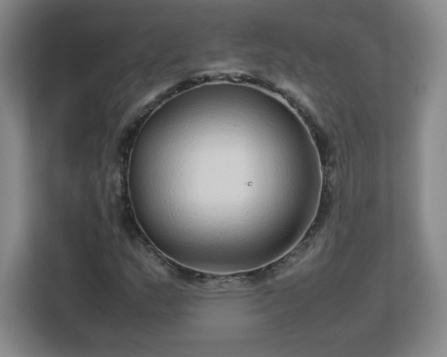 X0000113041159200909031306