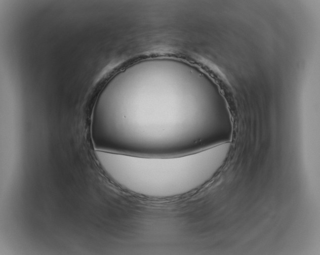 X0000113041160200909031306