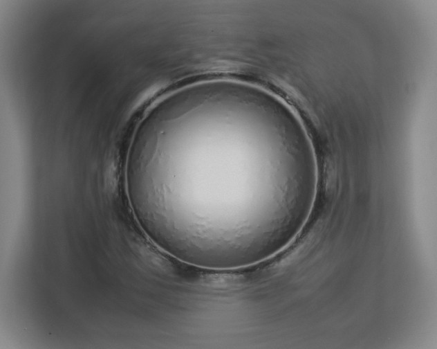 X0000113041163200909031306