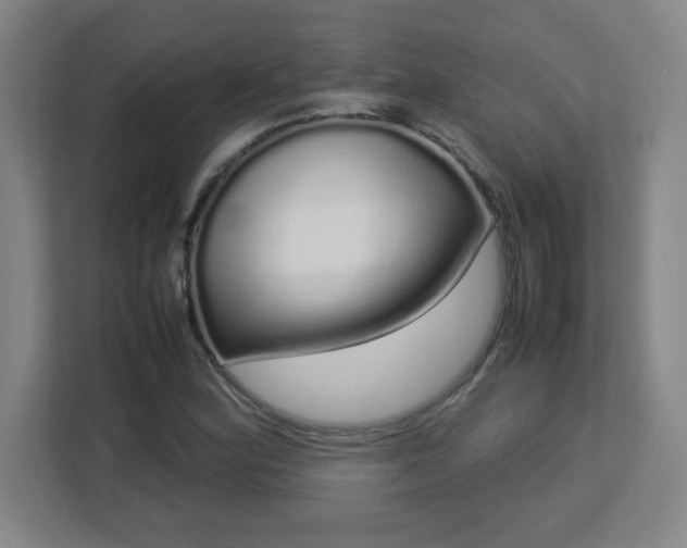 X0000113041164200909031306