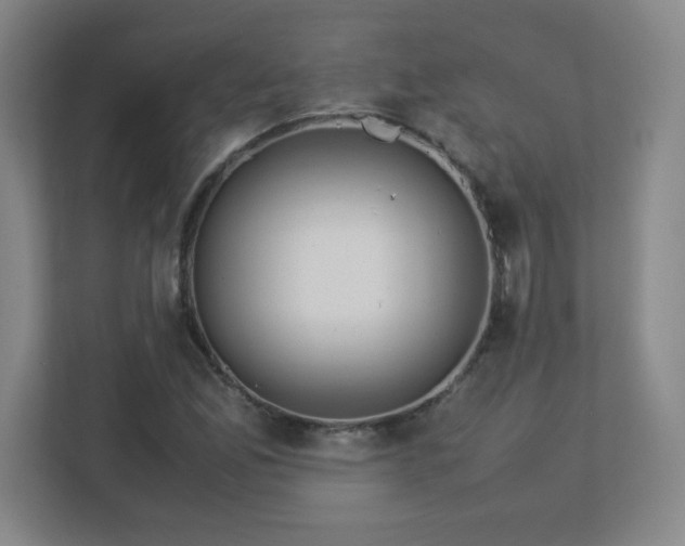 X0000113041165200909031306