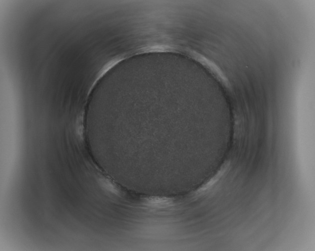 X0000113041170200909031306