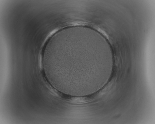 X0000113041171200909031306