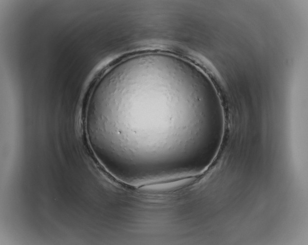 X0000113041172200909031306