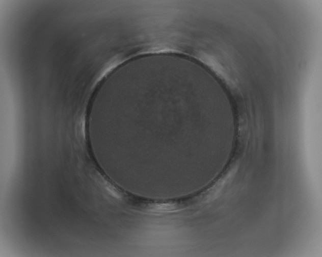 X0000113041173200909031306