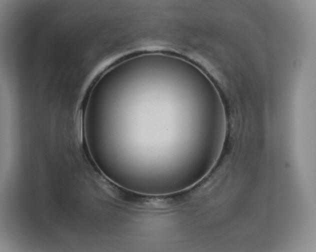 X0000113041175200909031306