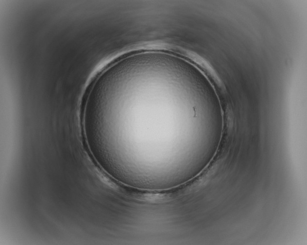 X0000113041176200909031306