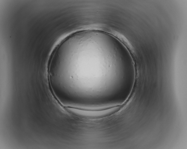 X0000113041184200909031306