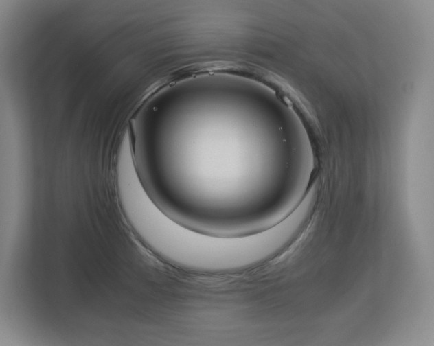 X0000113041185200909031306