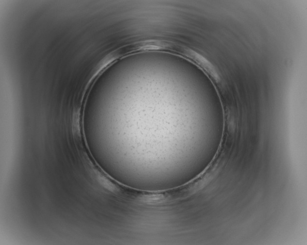 X0000113041186200909031306