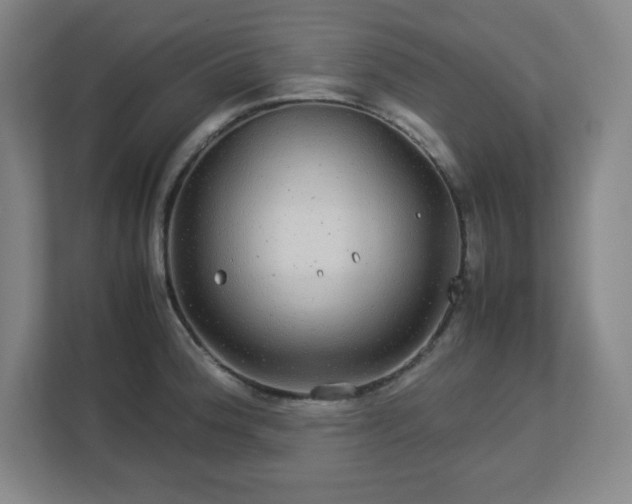 X0000113041188200909031306