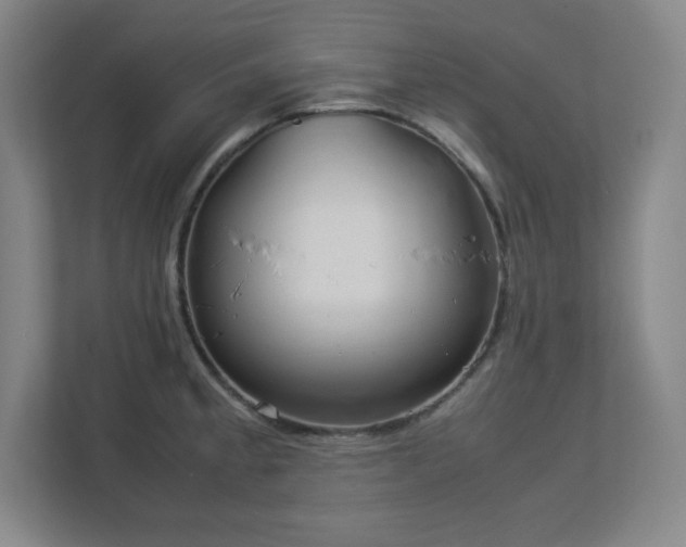 X0000113041189200909031306