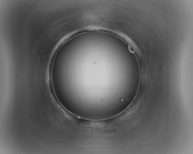 X0000113041191200909031306