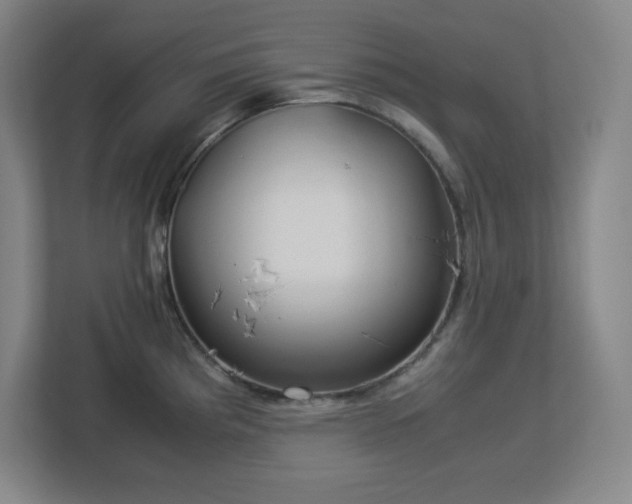 X0000113041193200909031305