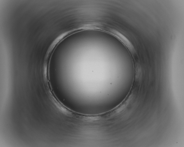 X0000113041196200909031305