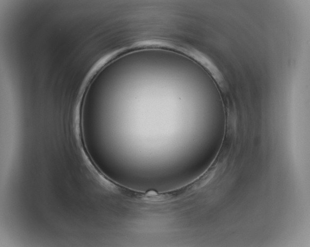 X0000113041199200909031305