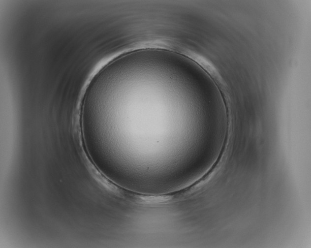 X0000113041200200909031305