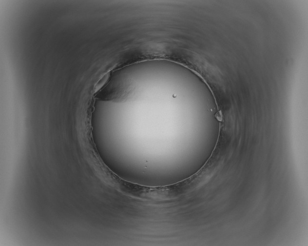 X0000113041201200909031305