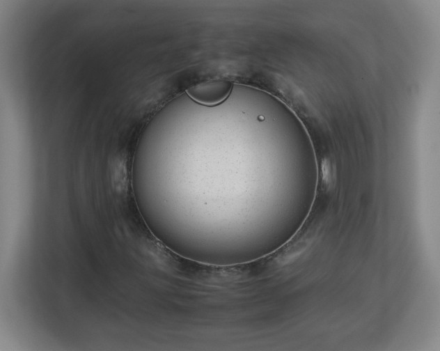 X0000113041203200909031305