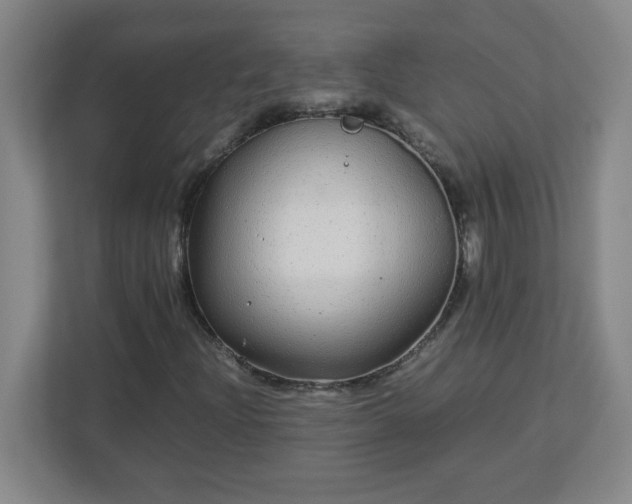 X0000113041204200909031305