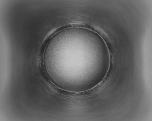 X0000113041208200909031305