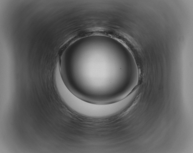 X0000113041209200909031305