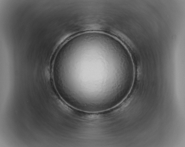 X0000113041212200909031305