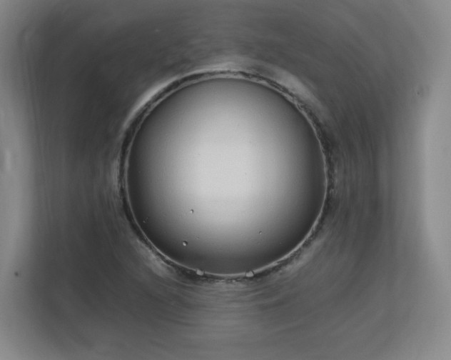 X0000113041216200909031305