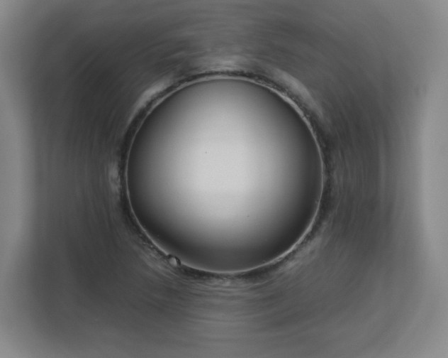 X0000113041218200909031305