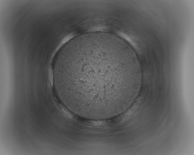 X0000113041219200909031305