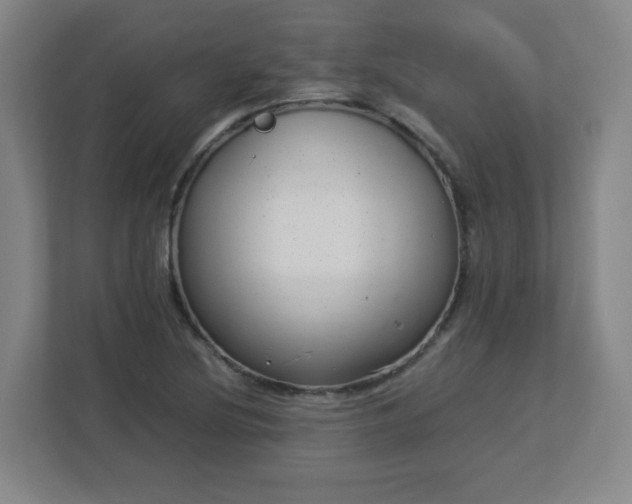 X0000113041220200909031305
