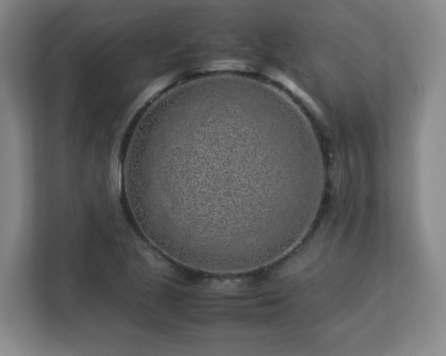 X0000113041221200909031305