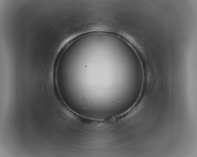 X0000113041222200909031305