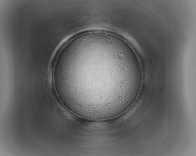 X0000113041224200909031305