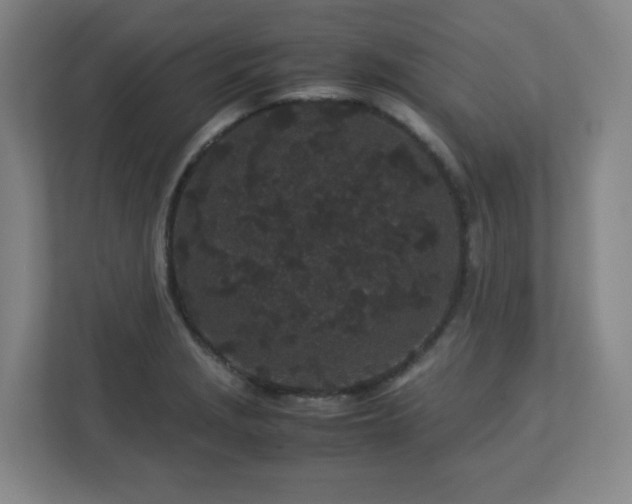 X0000113041229200909031305