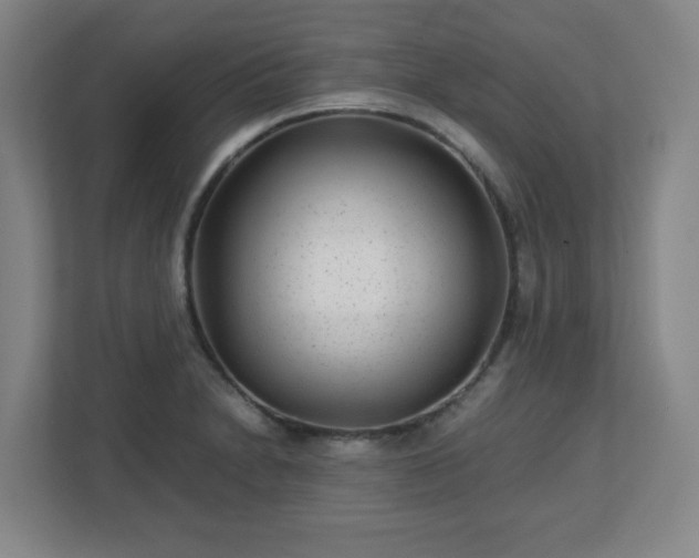 X0000113041230200909031305