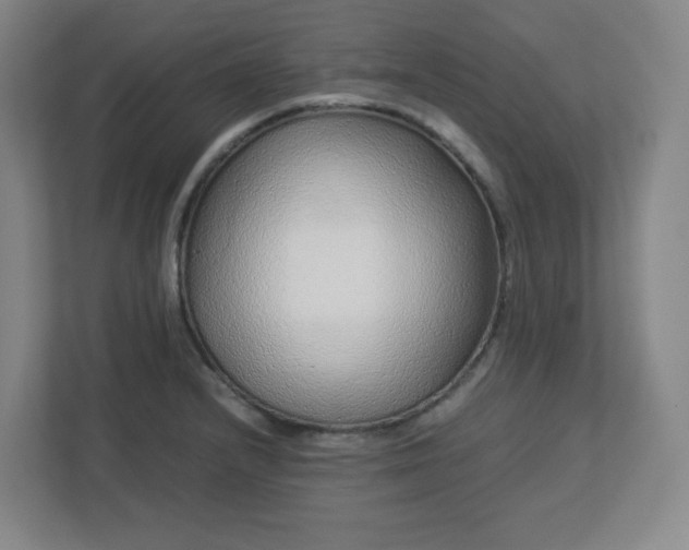 X0000113041232200909031305