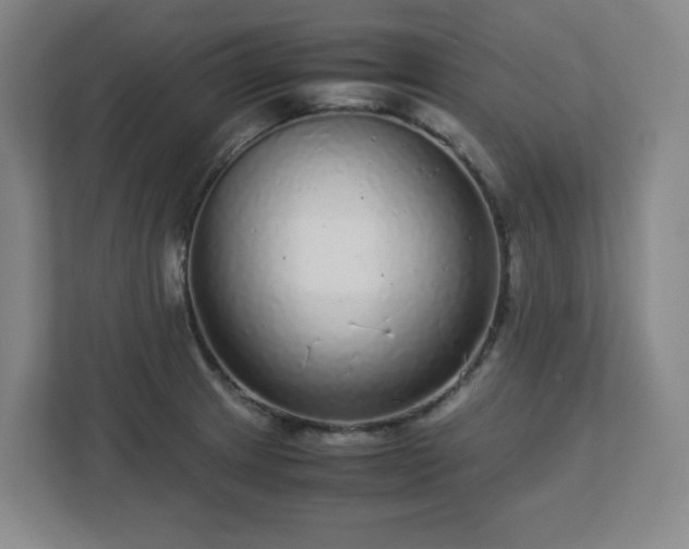 X0000113041233200909031305