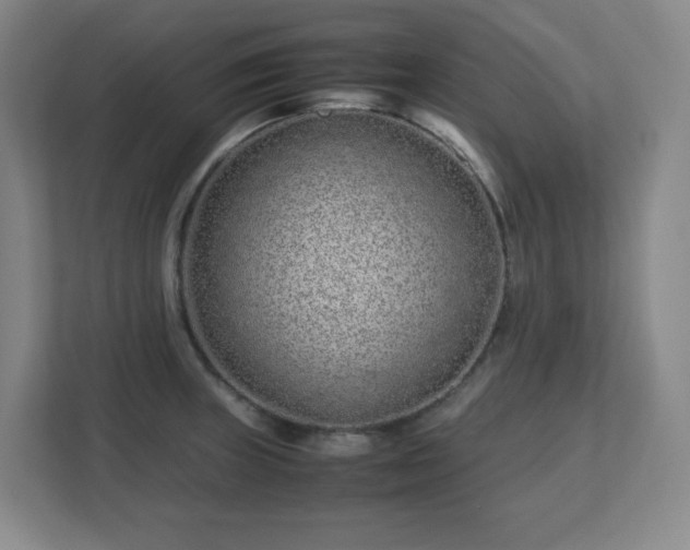 X0000113041235200909031305