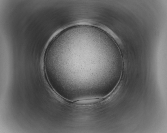 X0000113041240200909031305