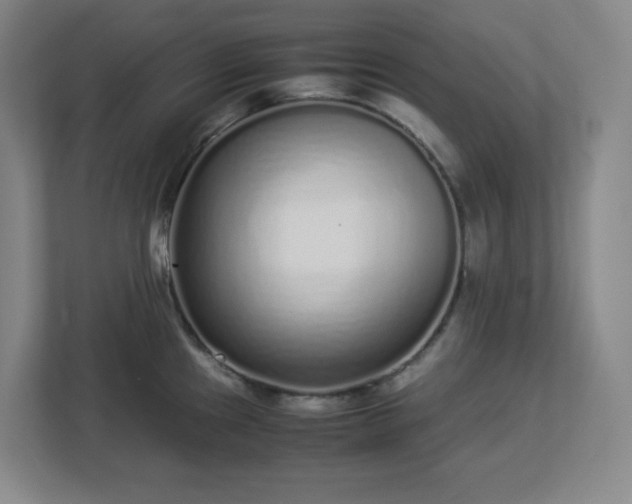 X0000113041241200909031305