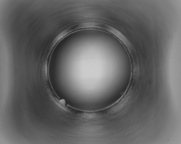 X0000113041242200909031305