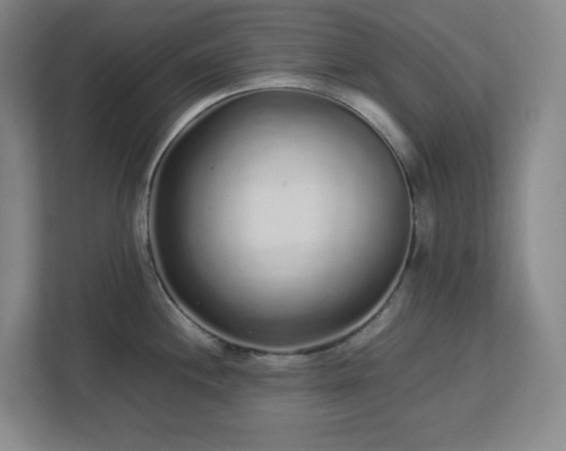 X0000113041244200909031305