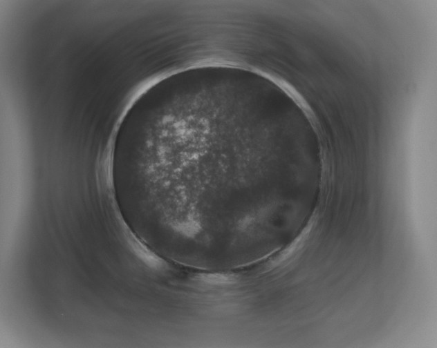 X0000113041246200909031305