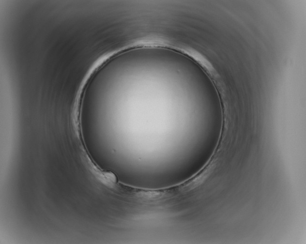 X0000113041248200909031305