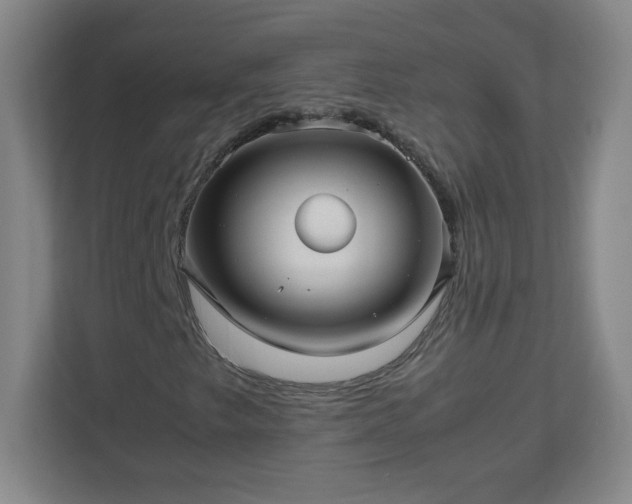 X0000113041249200909031305