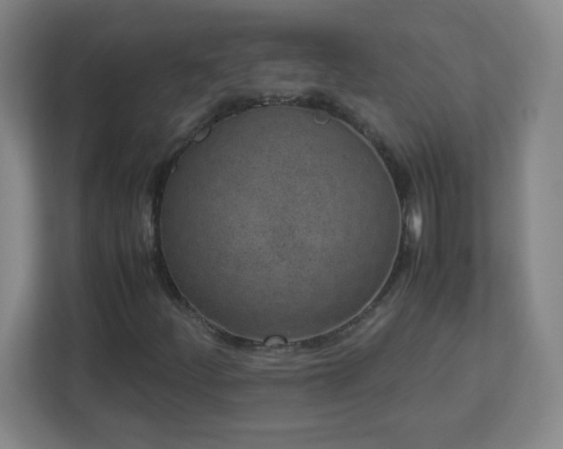 X0000113041252200909031305