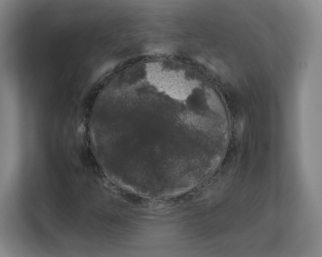 X0000113041254200909031305